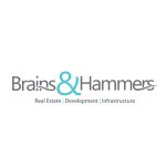 Brains & Hammers
